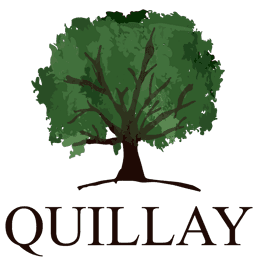 Quillay